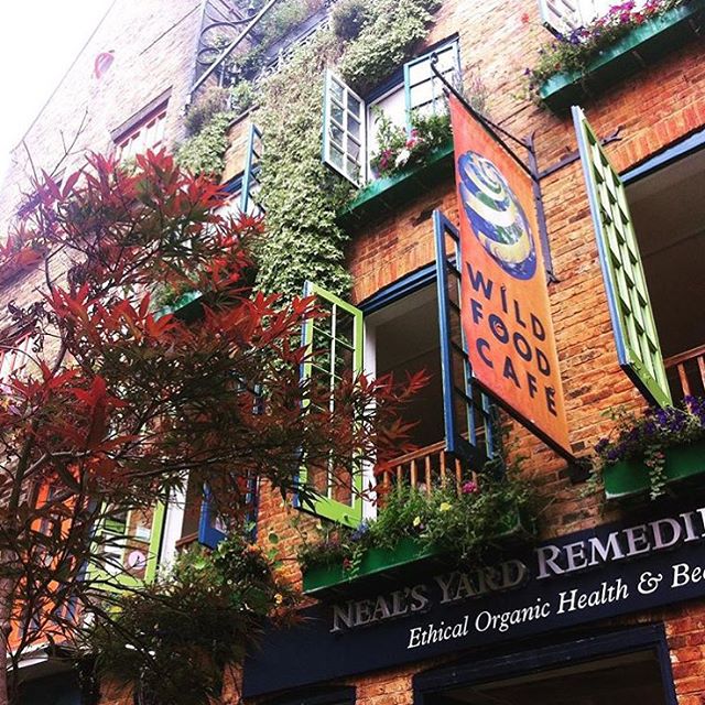 Image courtesy of: The Wild Food Cafe