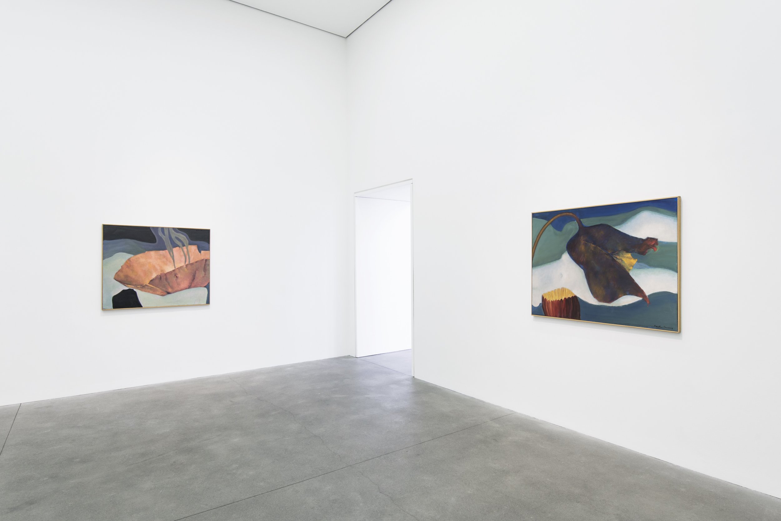 Courtesy Alison Jacques Gallery, London. Photo: Michael Brzezinski)