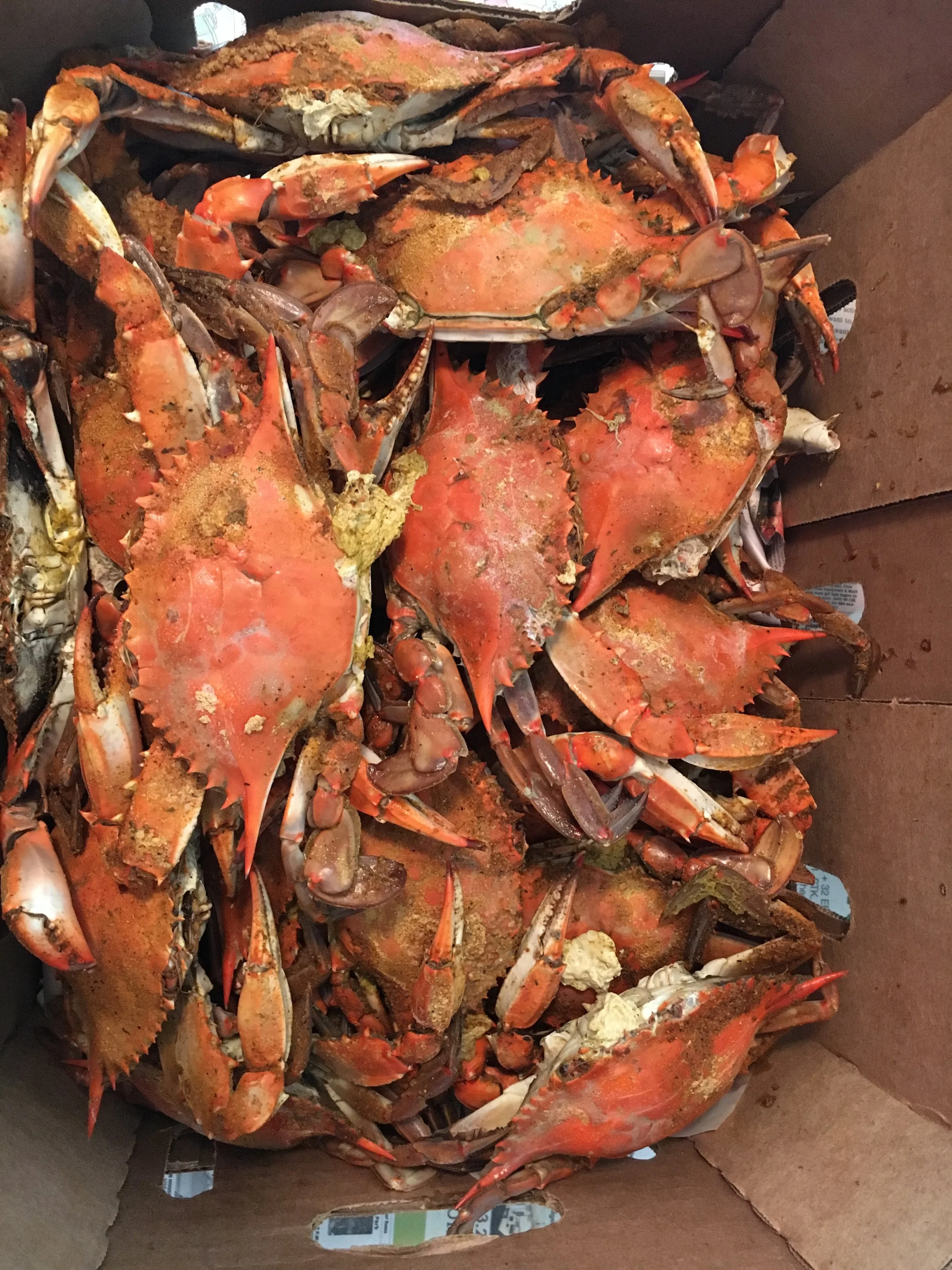 3.) I miss Maryland crabs. This is from my trip home in March. HEAVEN.