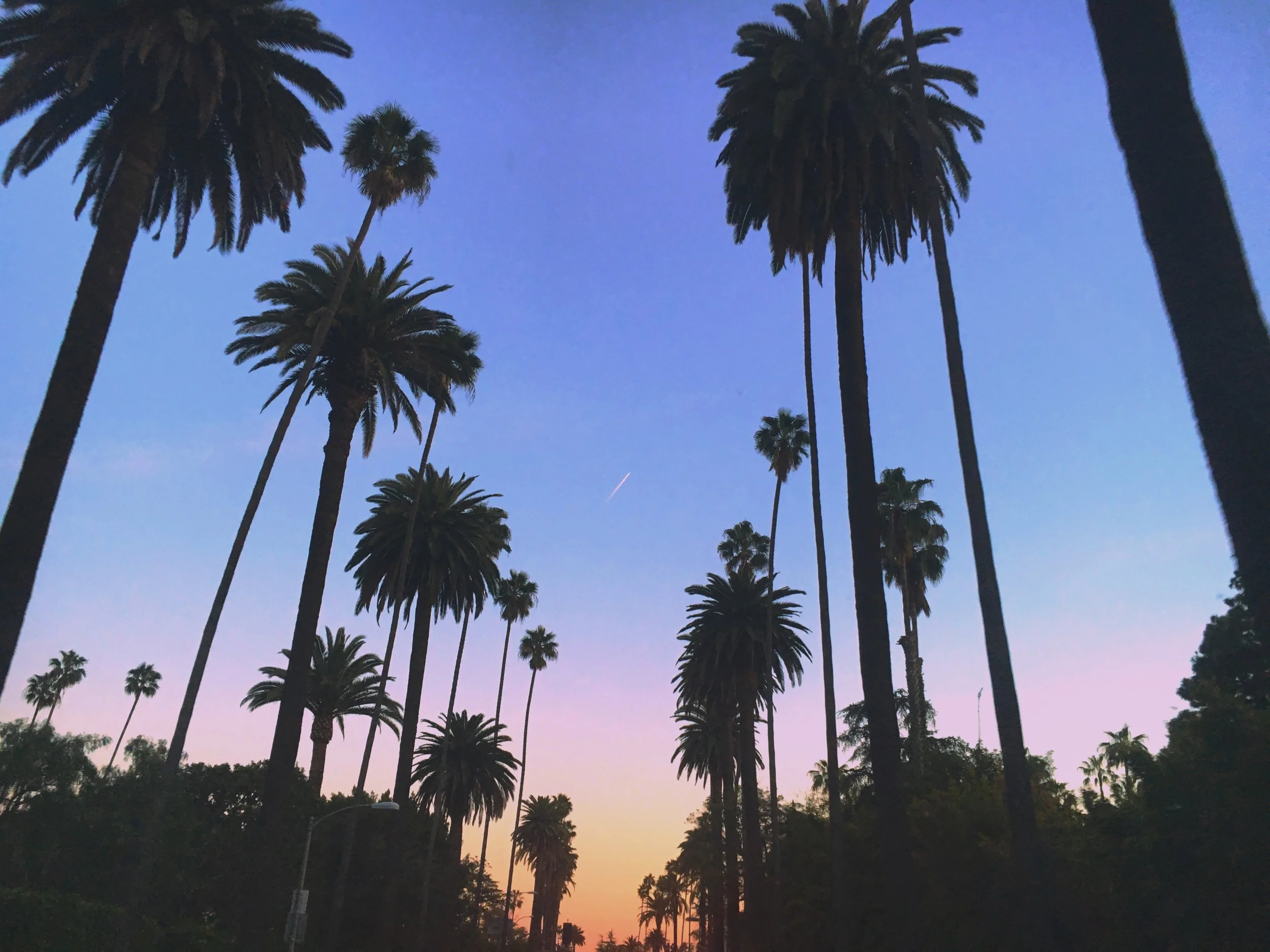 15.) I get to drive this street frequently and it never stops making me smile. 