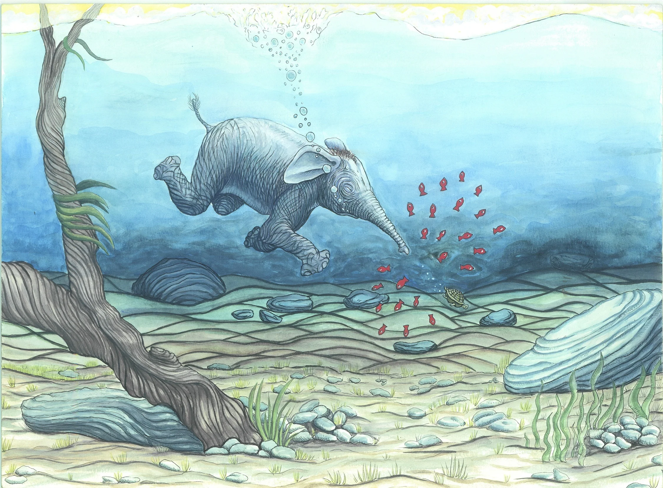 Ellie Swimming .jpg