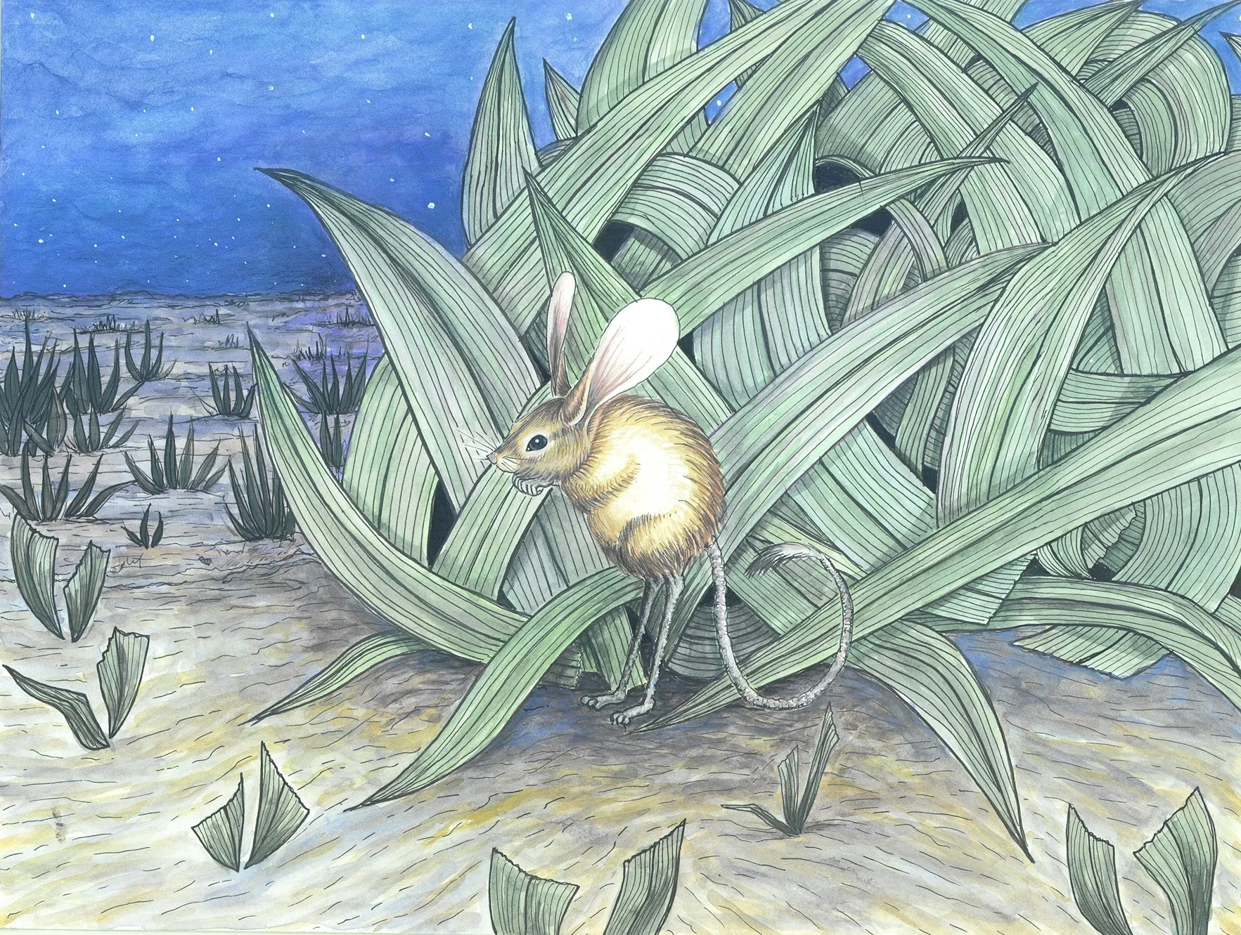 The Jerboa.jpg