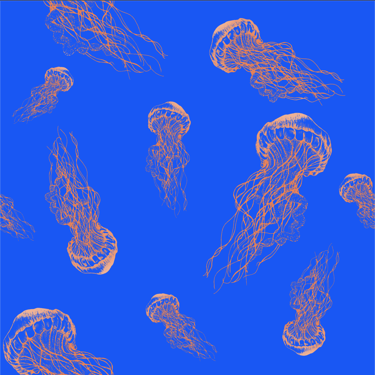 Screen Shot 2020-07-05 at 4.08.12 PM.png