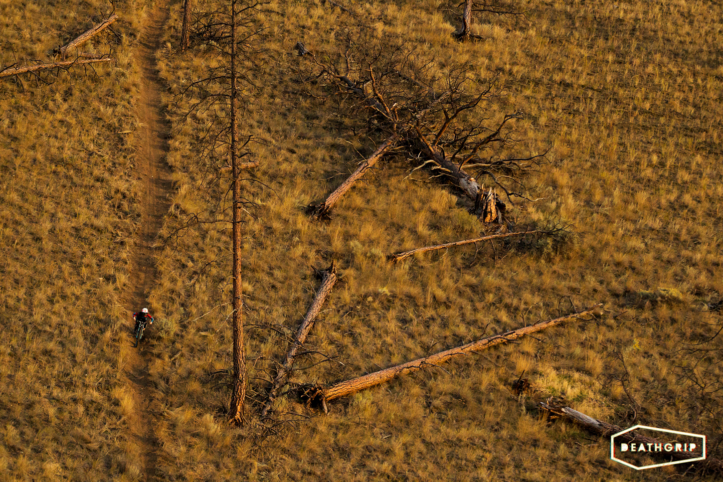 Casey Brown riding the Death Grip Line - by Harookz
