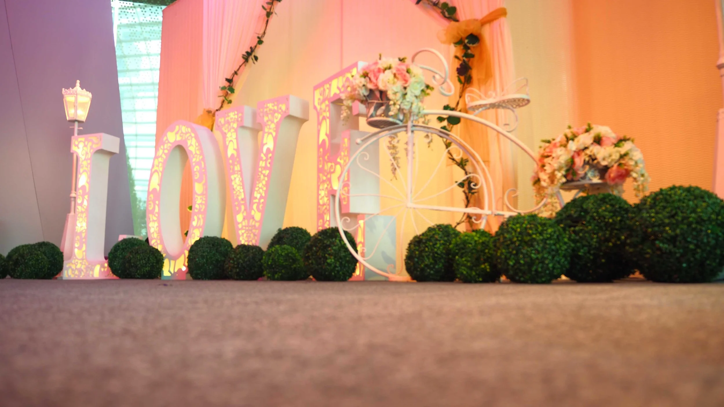 Singapore Wedding Entertainment (Wedding Magician at Flower Dome)