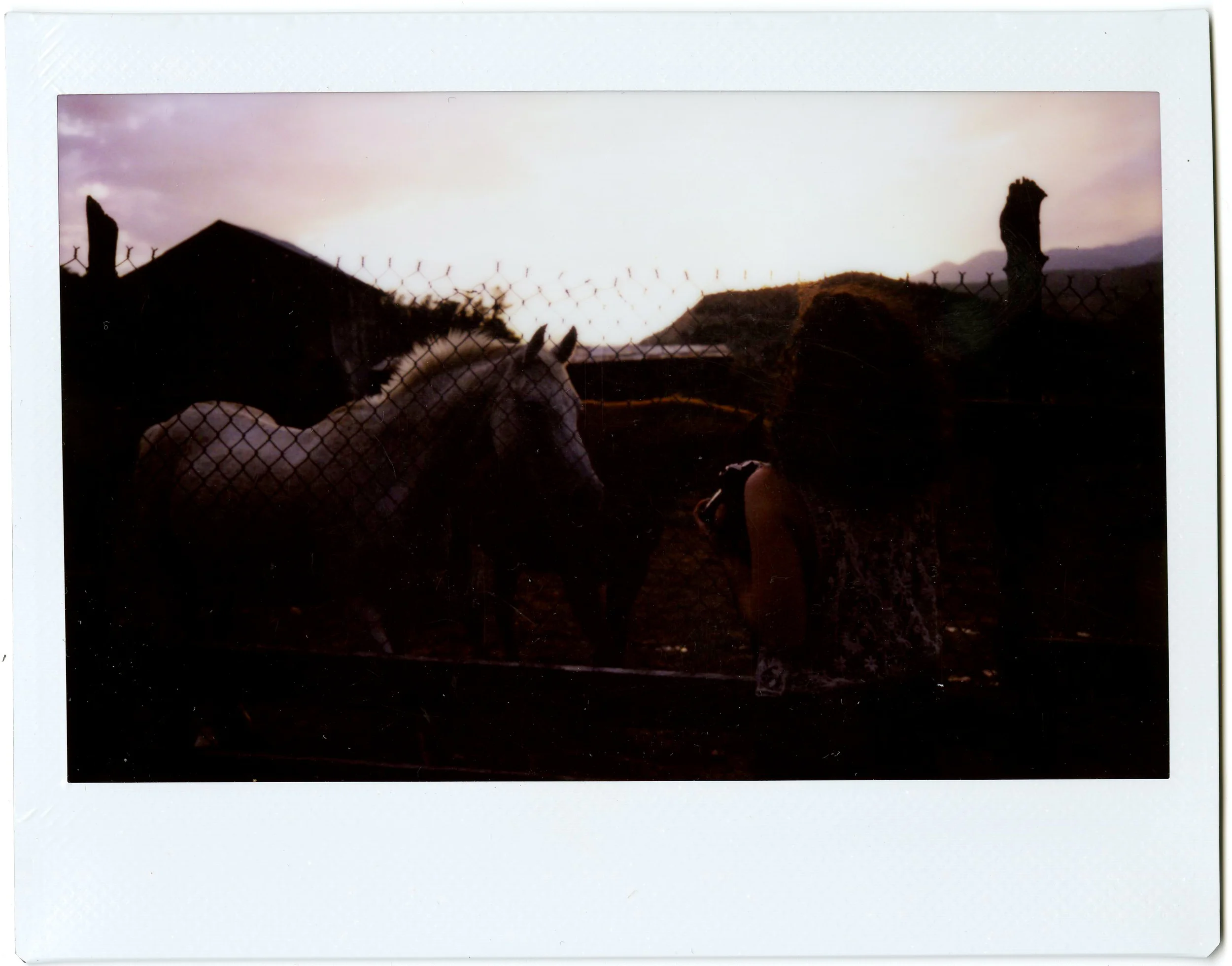 Untitled-14.jpg