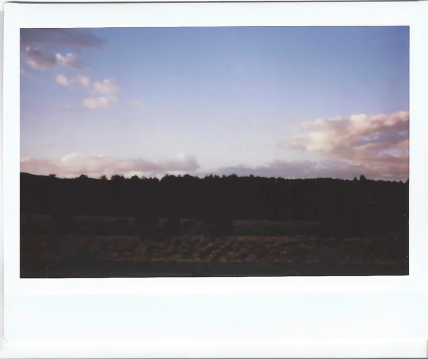 Untitled-1a.jpg