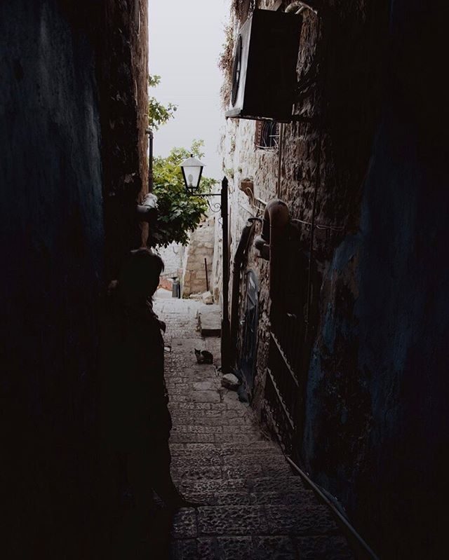 Magical cat alleys.