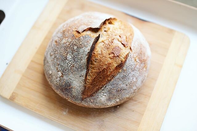 Definitely a long time coming, but so many friends and family have been asking me all sorts of sourdough questions I figure I put it all up on the blog for reference (and my own). My intro to high hydration loaves is incredibly dense with explanation