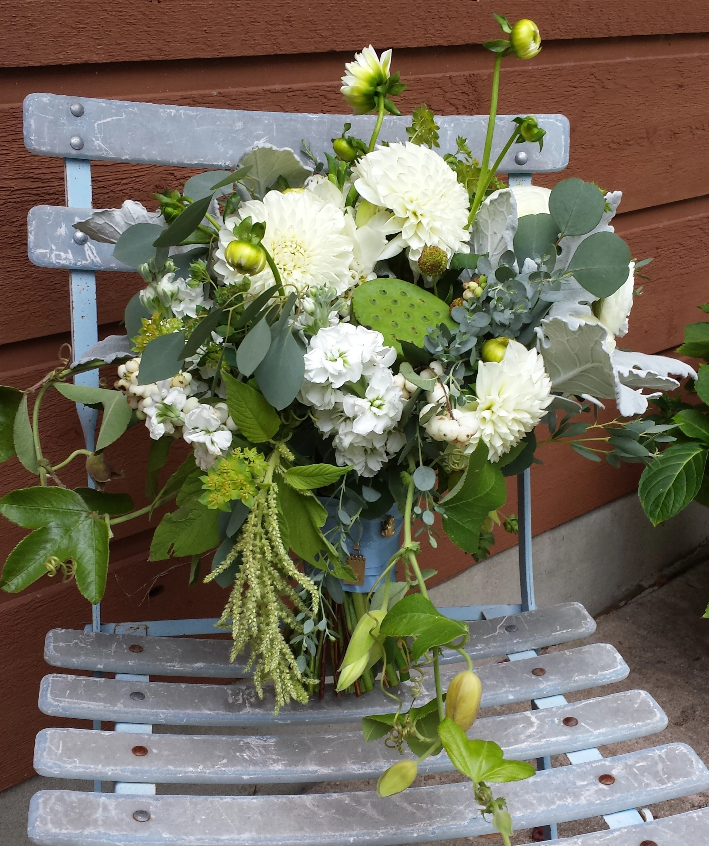 20150919_085922.jpg