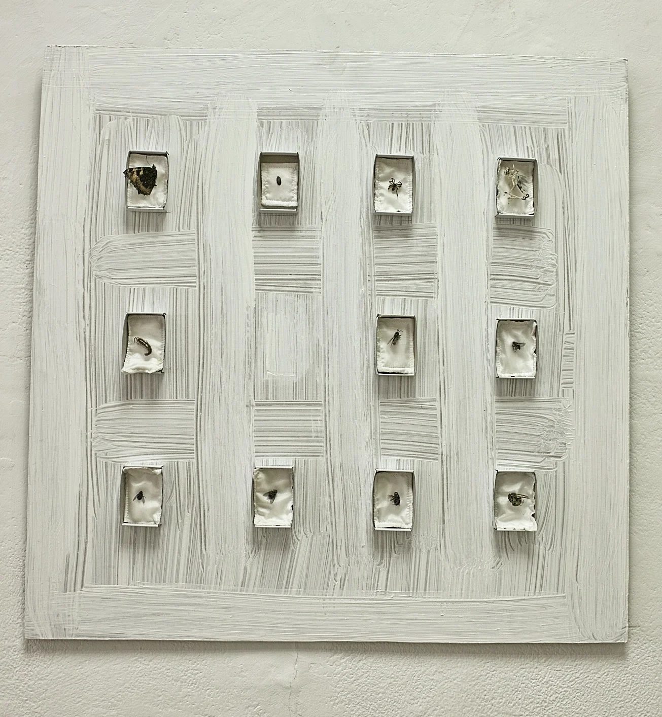 Tiny deaths that have happened in my House - 2012