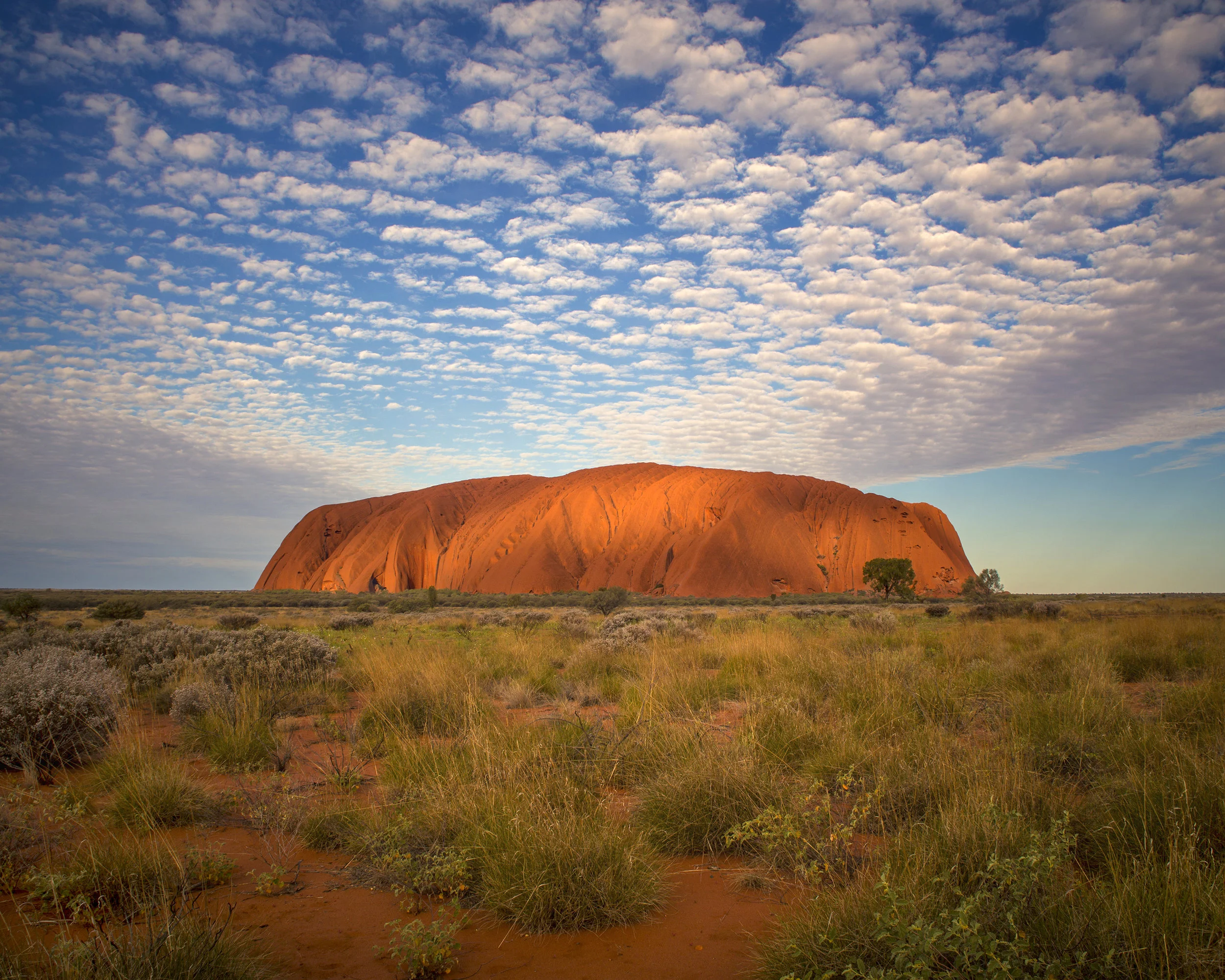 Uluru_8x10.jpg