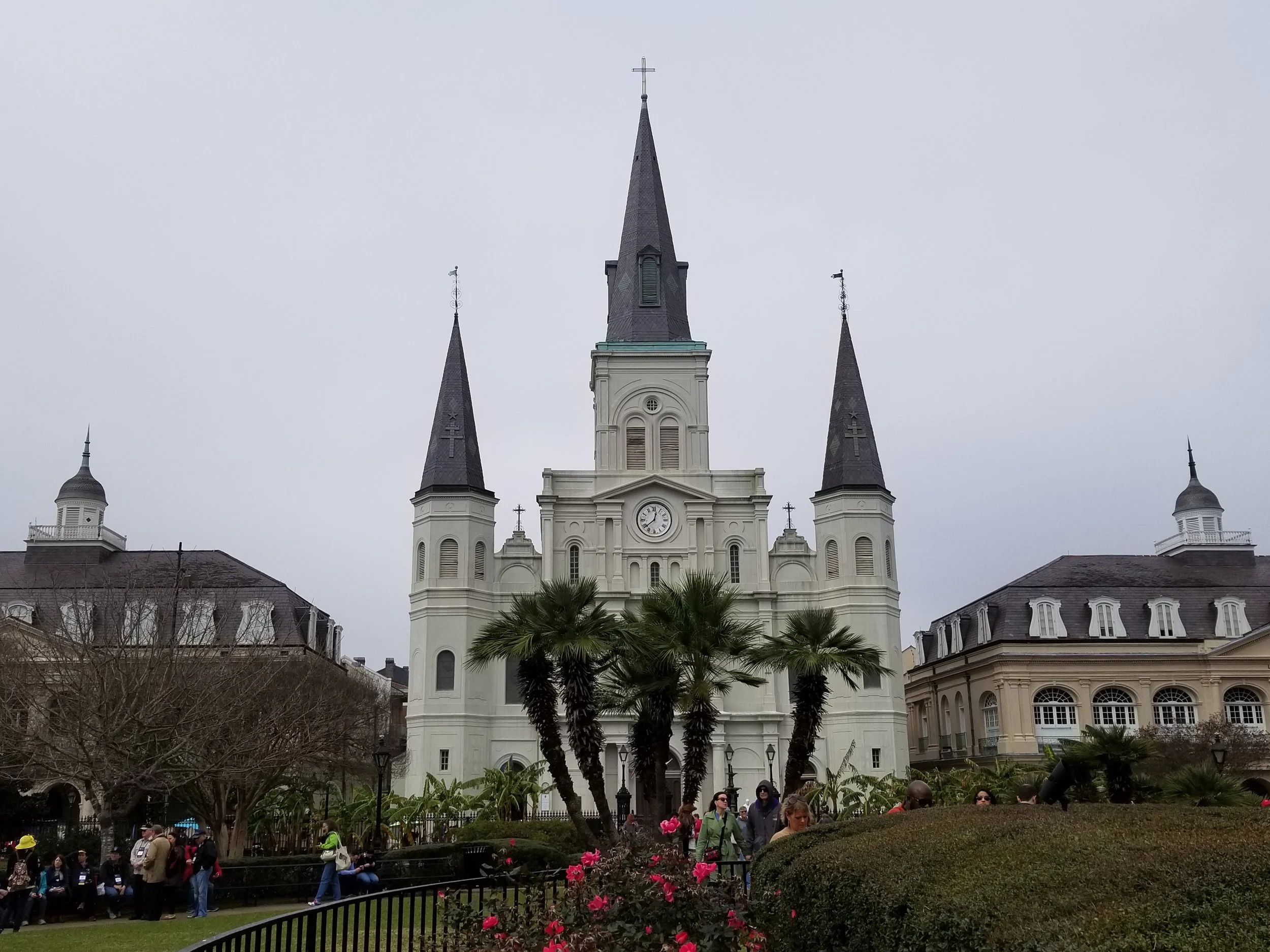20190210_123742.jpg