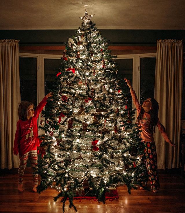 Adding the finishing touches with new ornaments from my auntie.🎄
.
.
.

#lovinreallife #kfoxphotos #kfoxphotography #crownpointindiana #northwestindianaphotographer #indianaphotographer #documentyourdays #storiesoftheeveryday #hellostoryteller #beyo