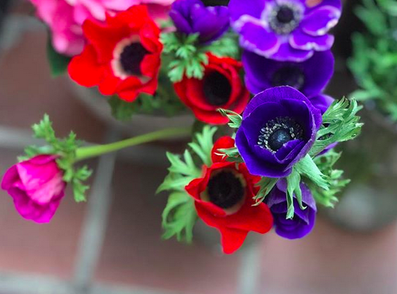 Locally sourced flowers from @forgetmenotfarmsmi