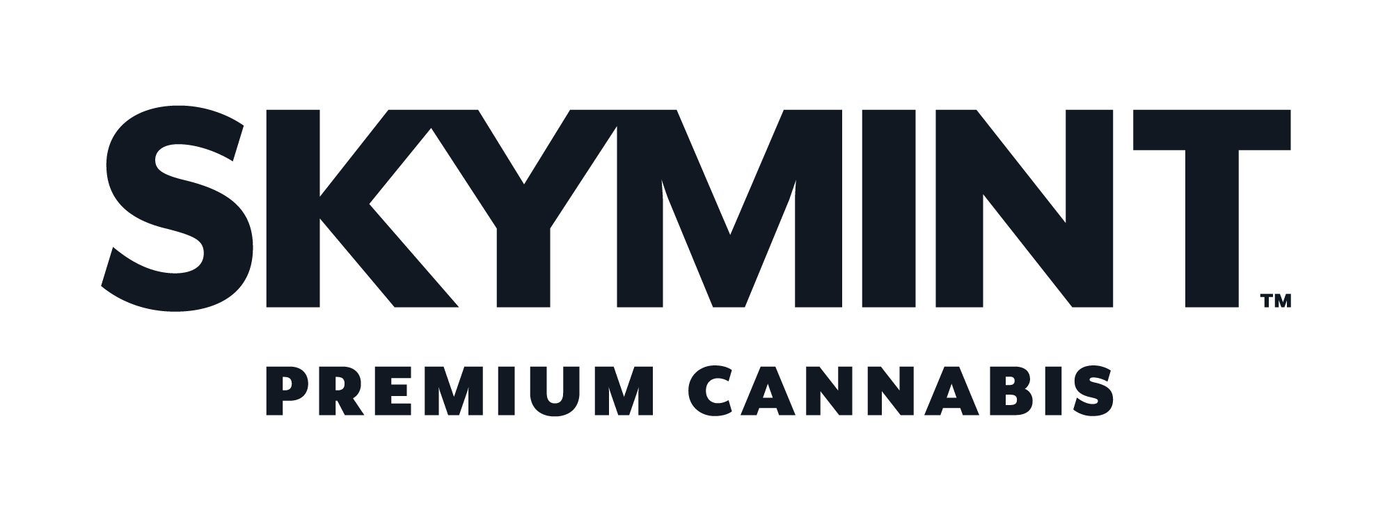 SkyMint Logo.png