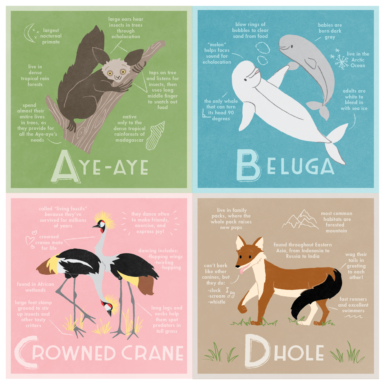 Diagranimals Group-01.png