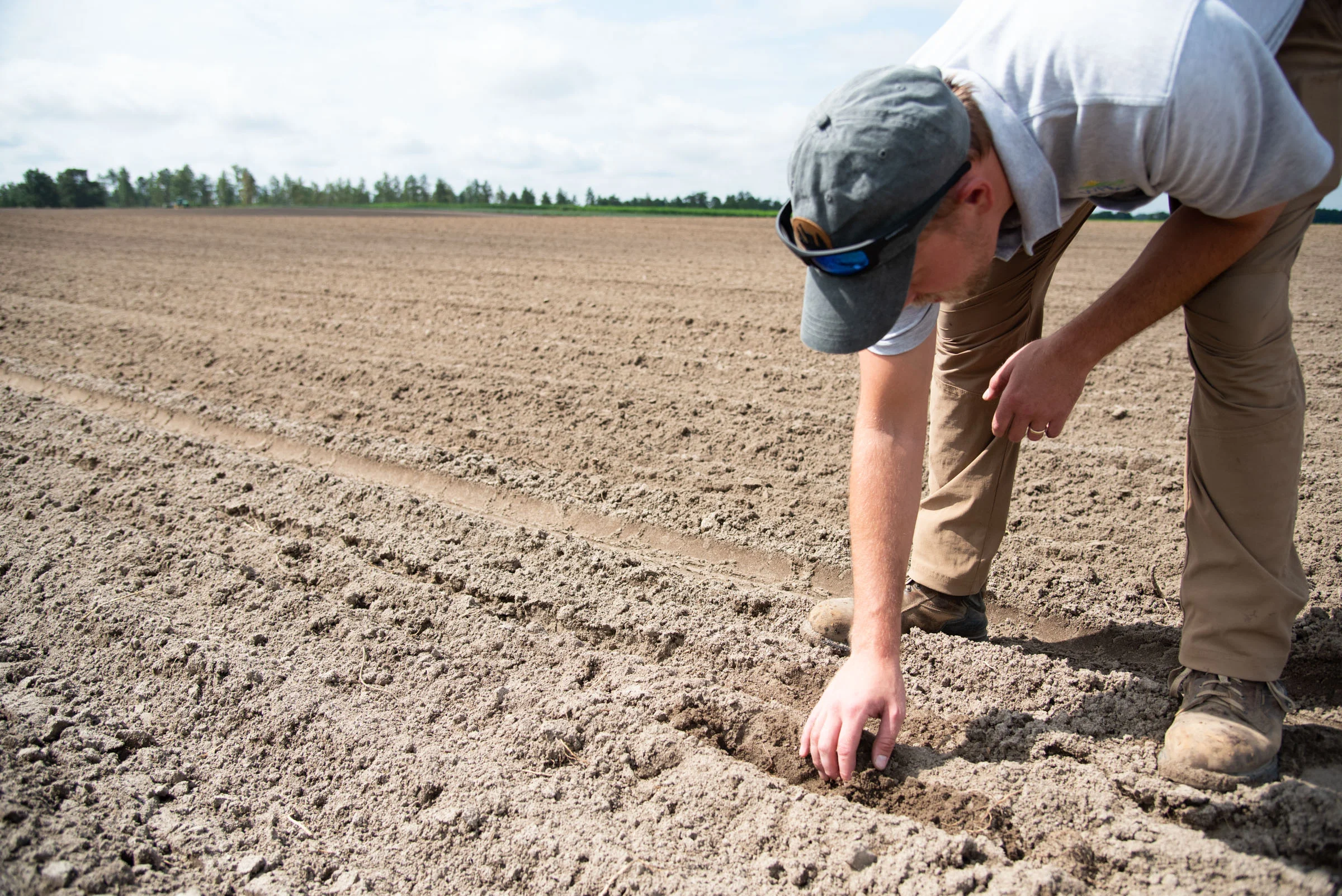 Checking recently planted seeds.