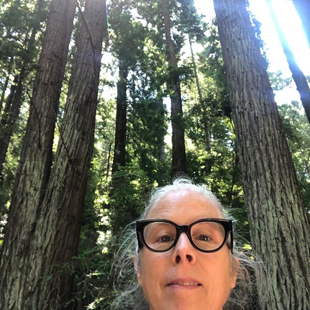 So so so beautiful. I like it out here. I like the work. I like the place. And until the family comes out, this is my party every weekend. These gaudy audacious trees and I - hanging out.