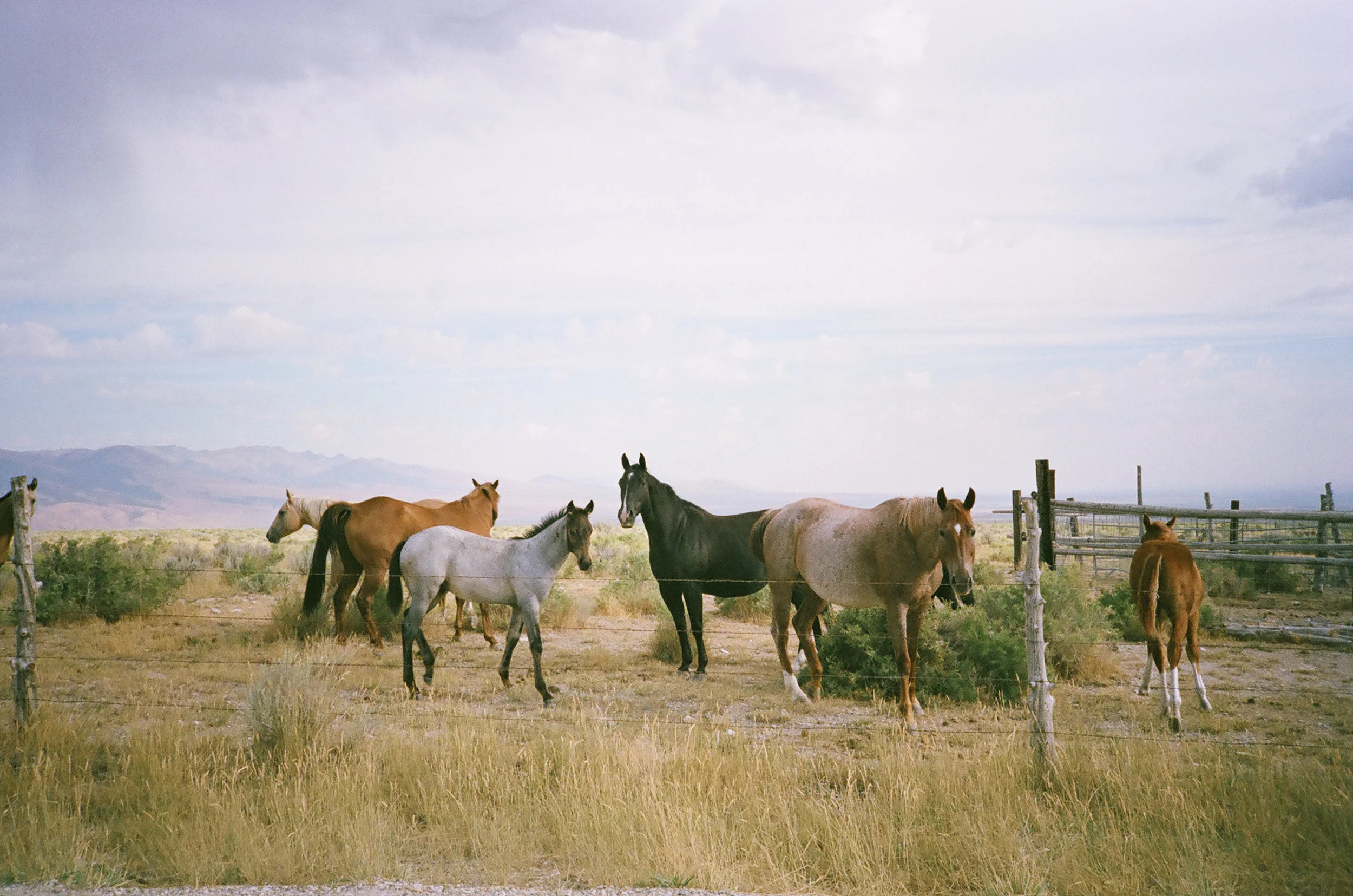 Roadtrip-5.jpg