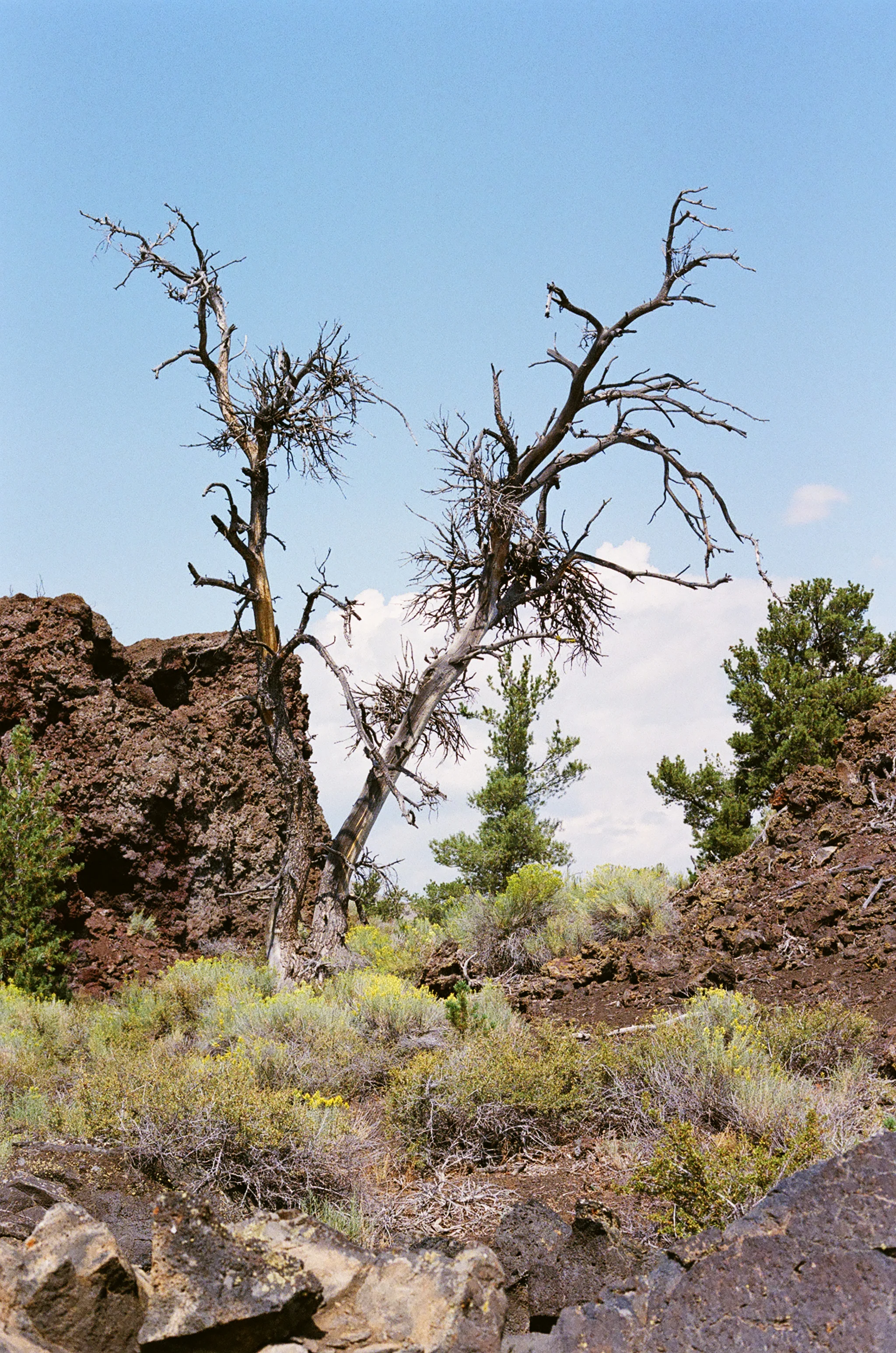 Roadtrip-91.jpg