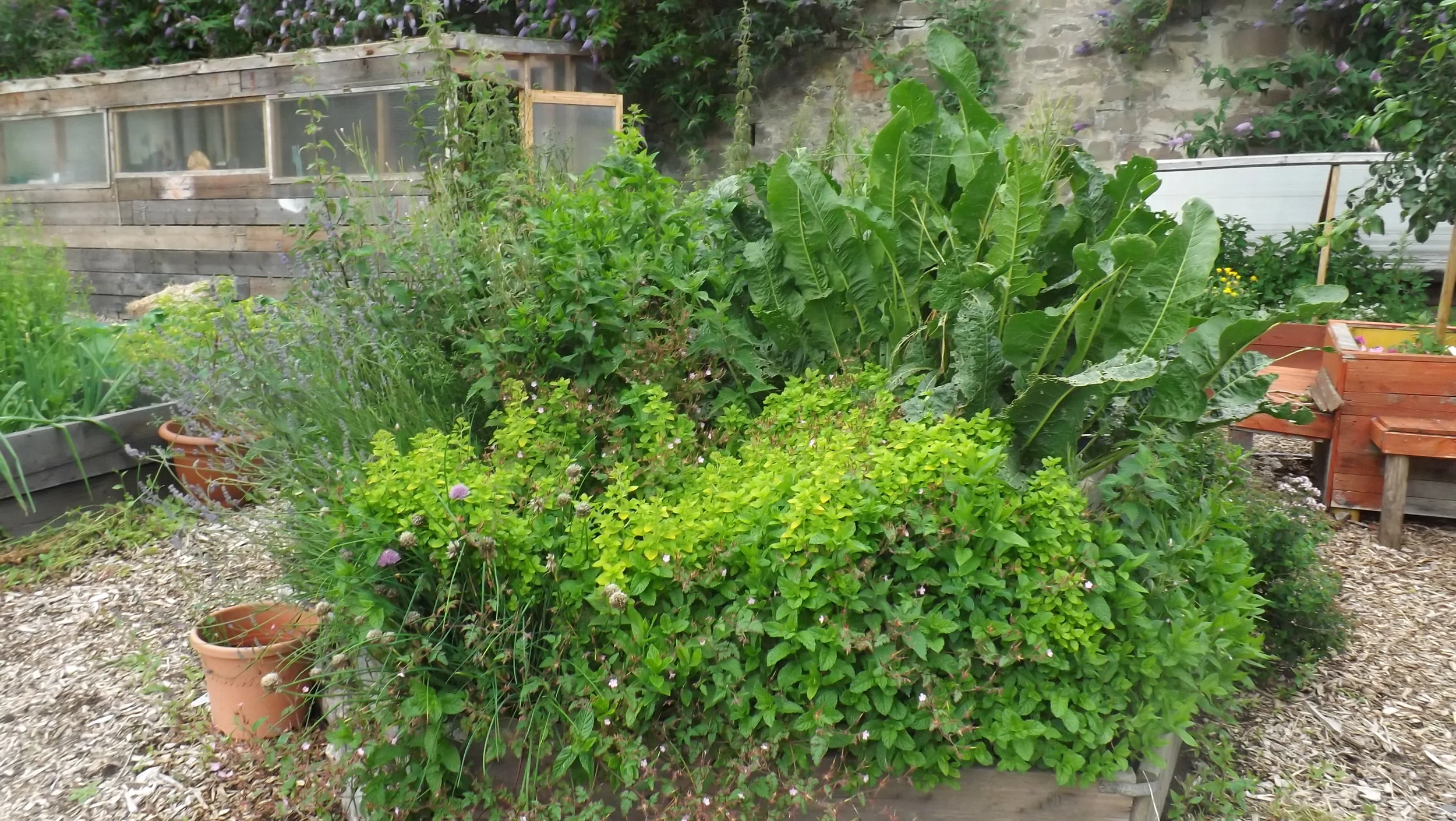 DSCF6040.JPG