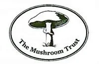 mushroom-rcpvqgyz9ymf9jt0mup2vlpkb335h1nmjqzztyxjis.jpg