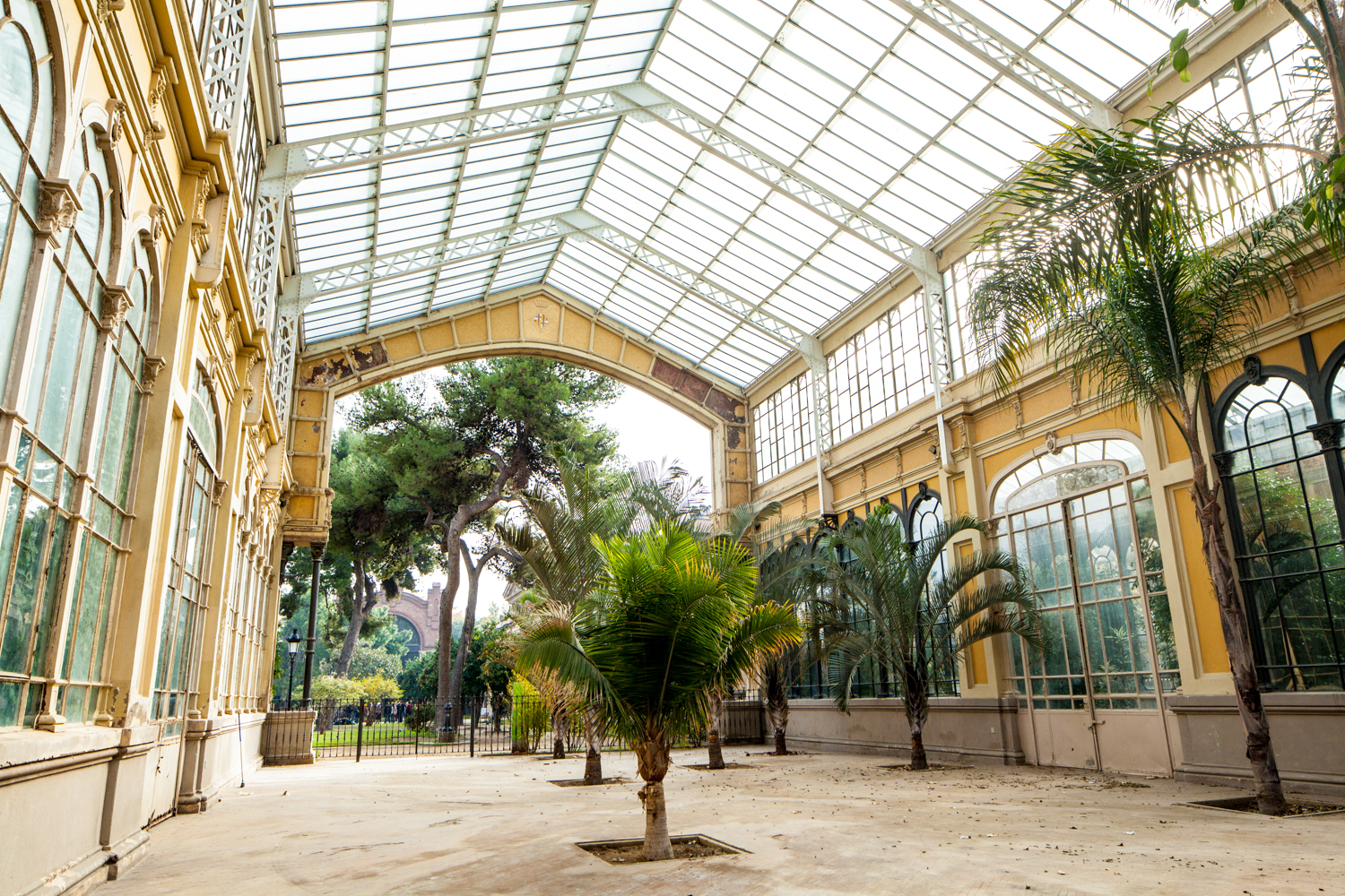 abandoned green house