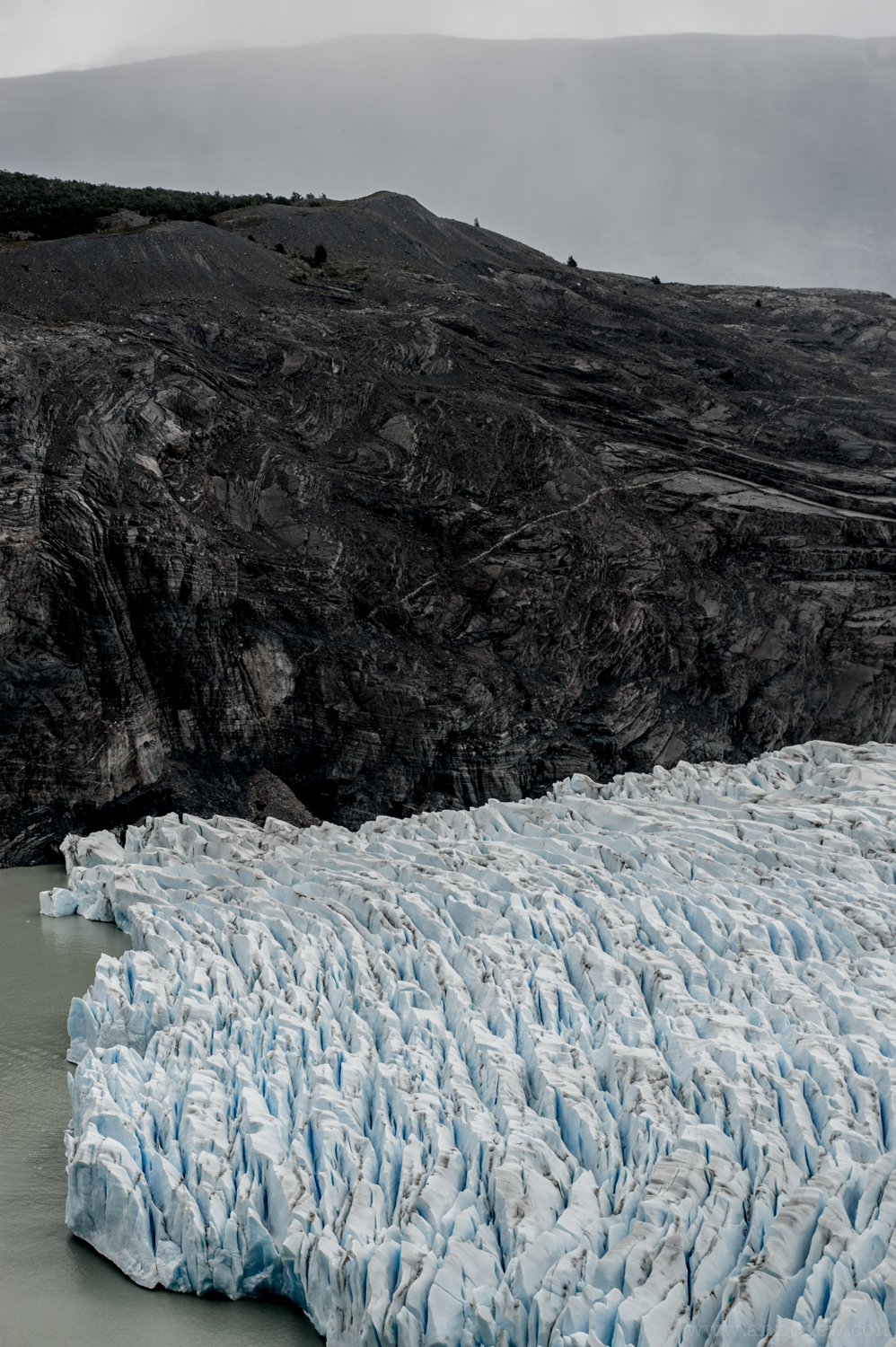 D70_4398.jpg