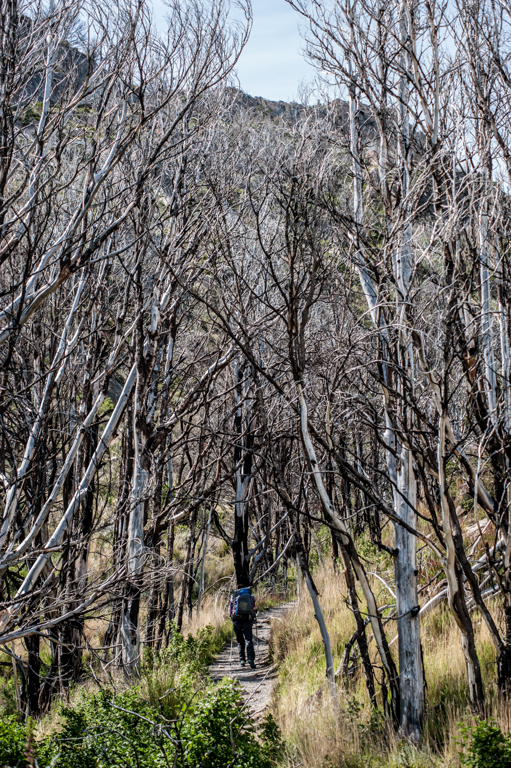 D70_4658.jpg