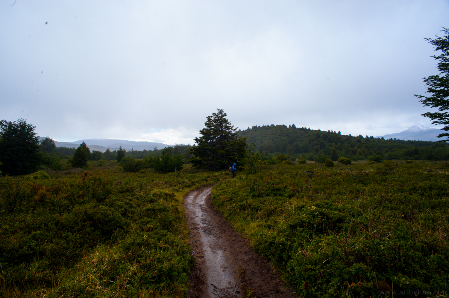 D70_5162.jpg