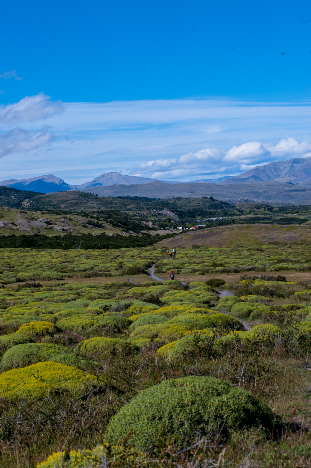 D70_5680.jpg
