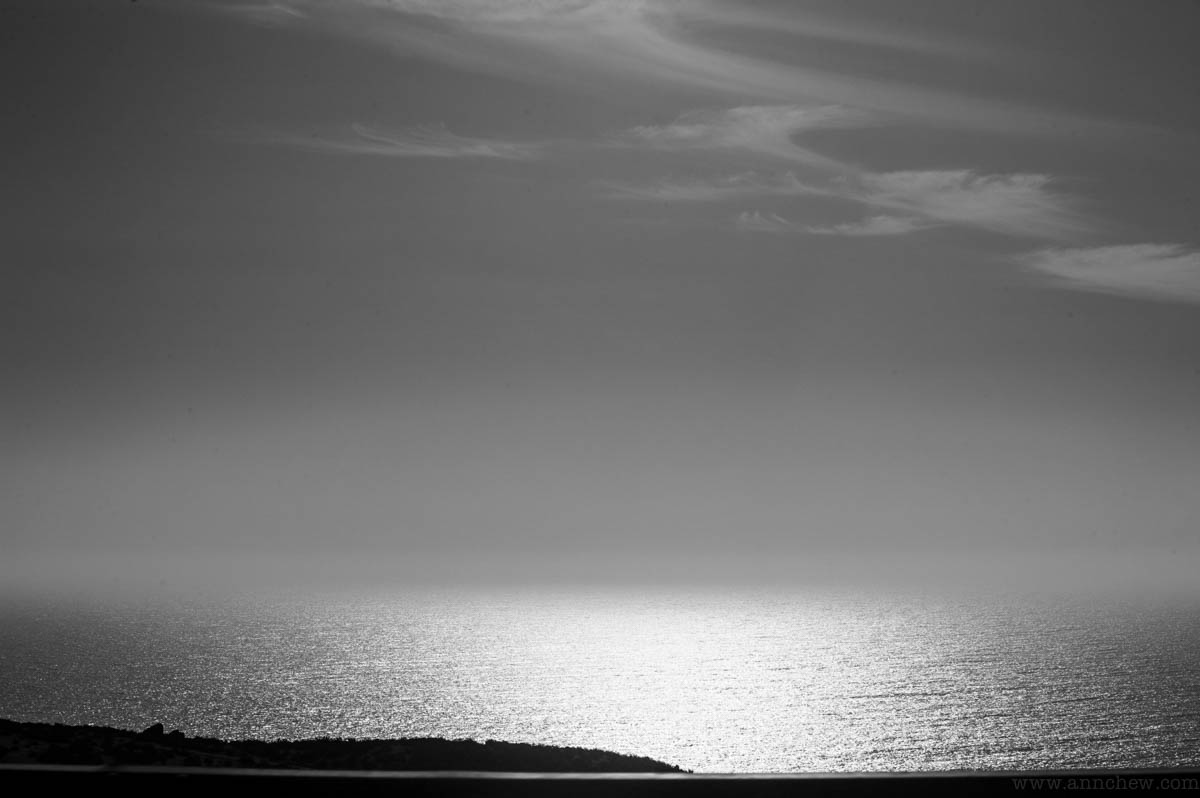 D70_7103.jpg