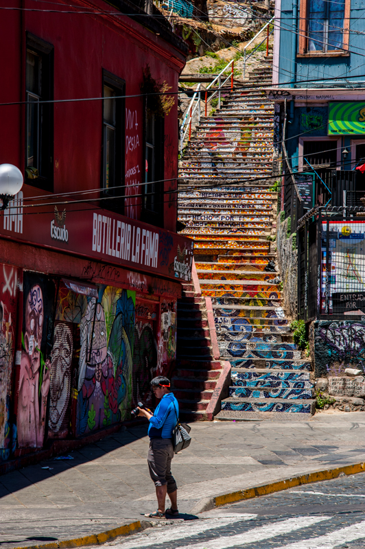 D70_7839.jpg