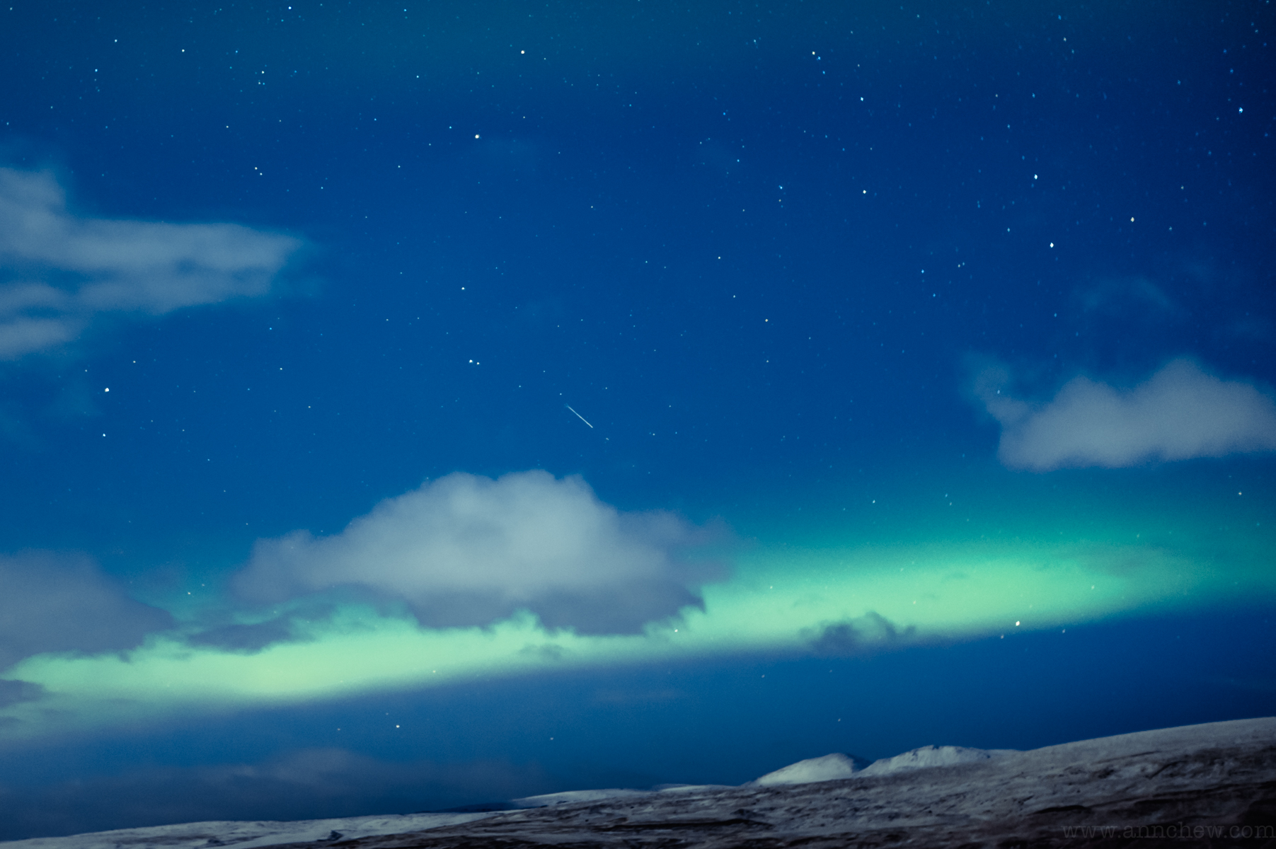 D70_9135.jpg