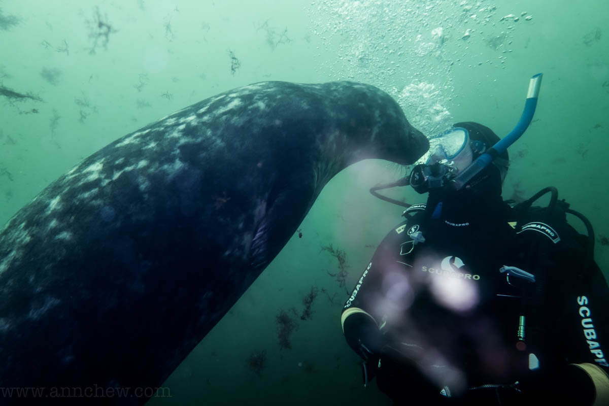 Bernd getting a kiss