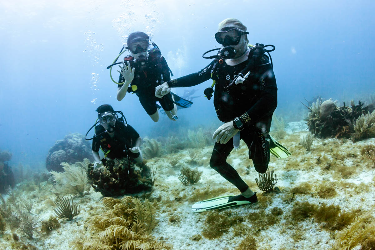 Discover scuba divers Weiwei and Naoko!