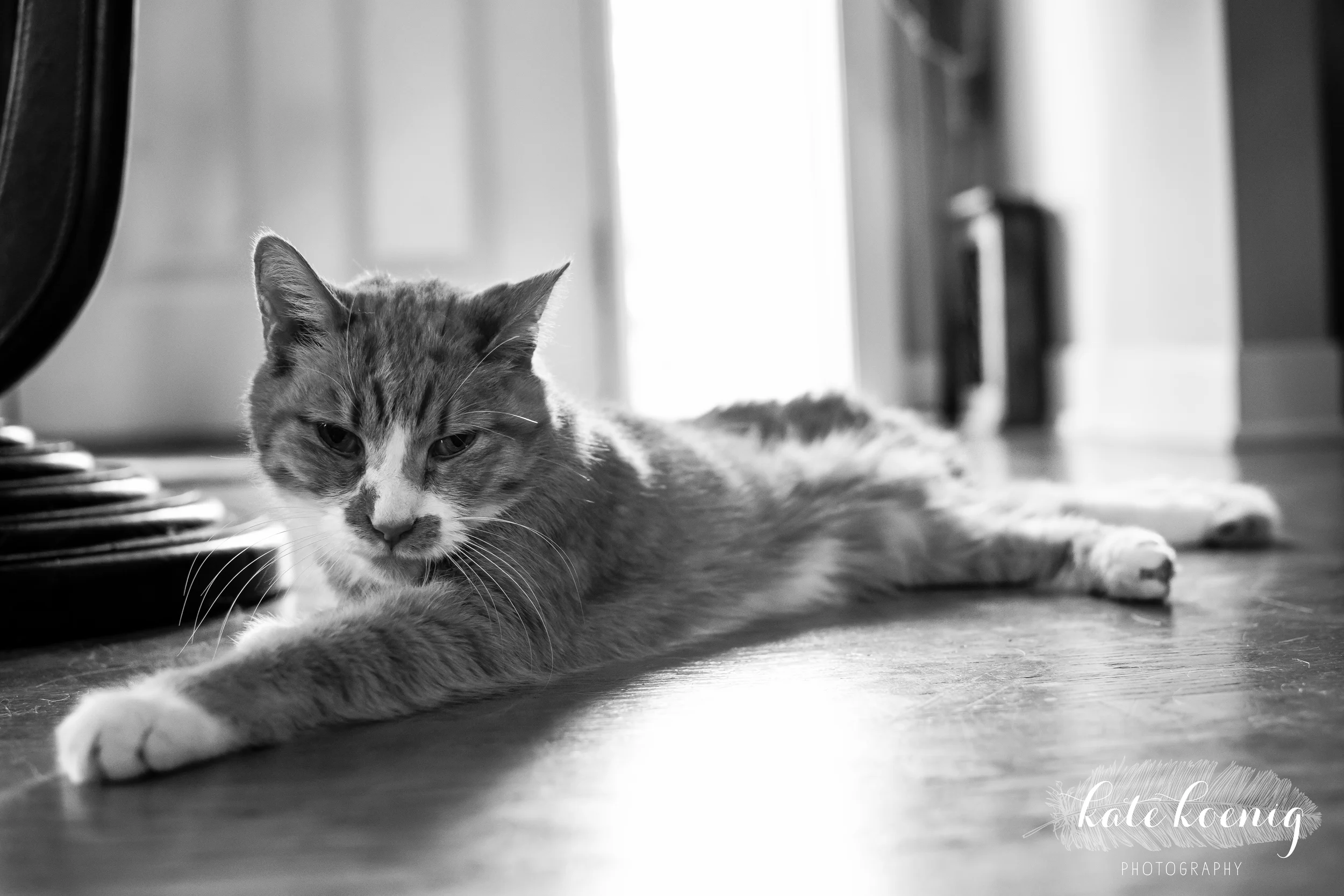 DSC_4420-3.jpg