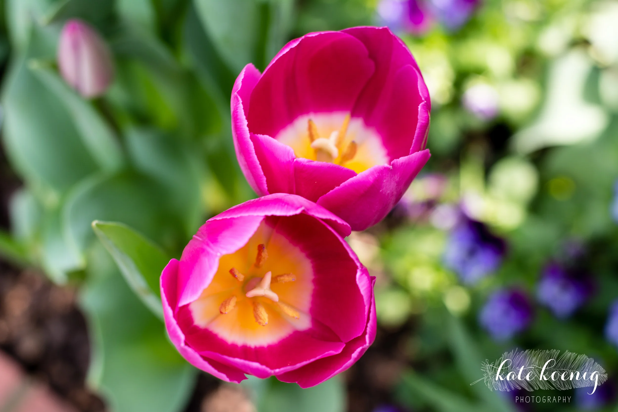 DSC_1710.jpg