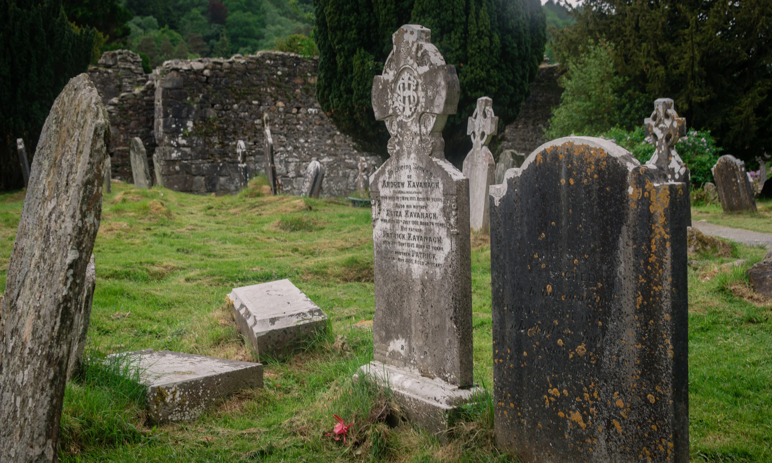 DSC_6706.jpg