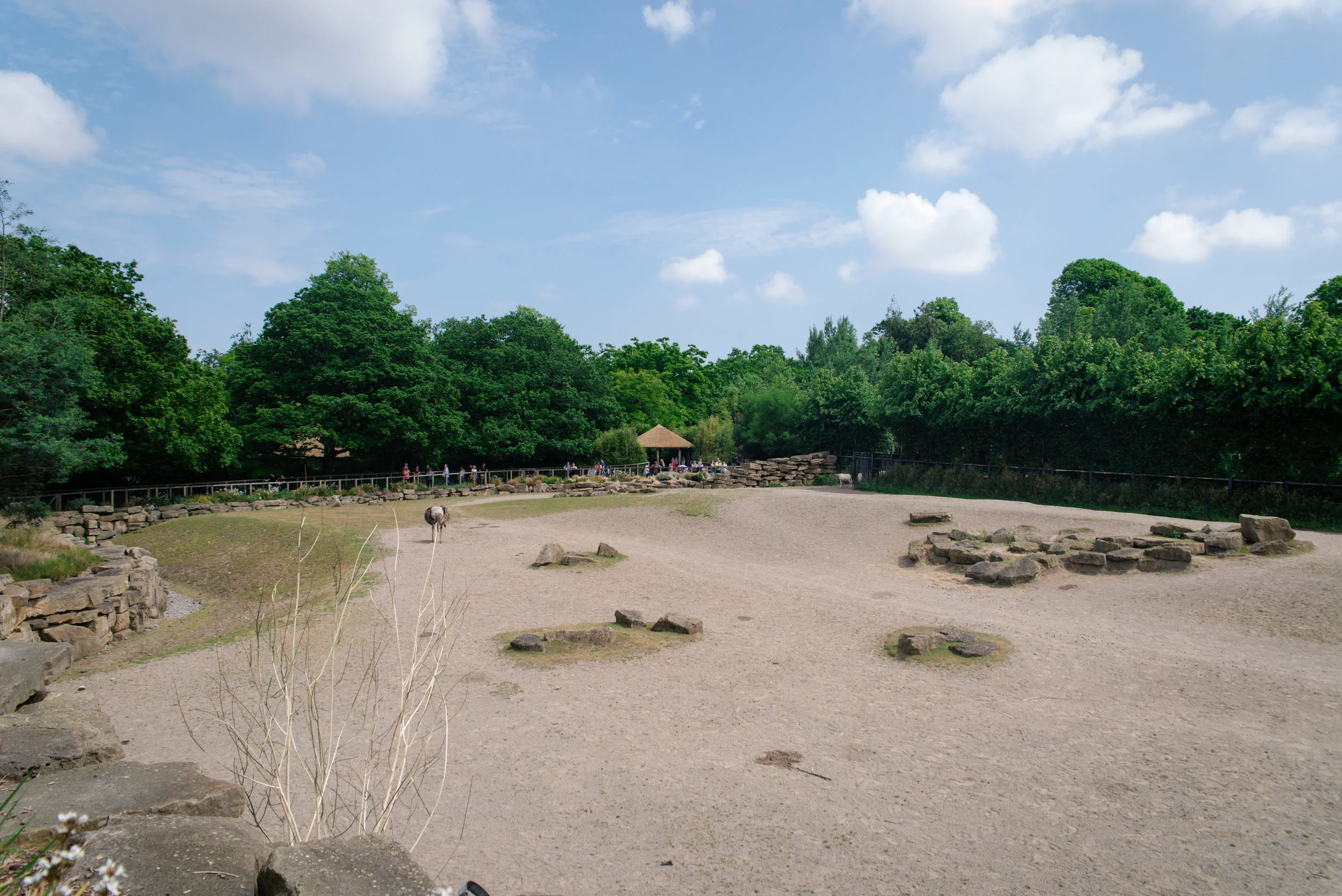 The space for the animals