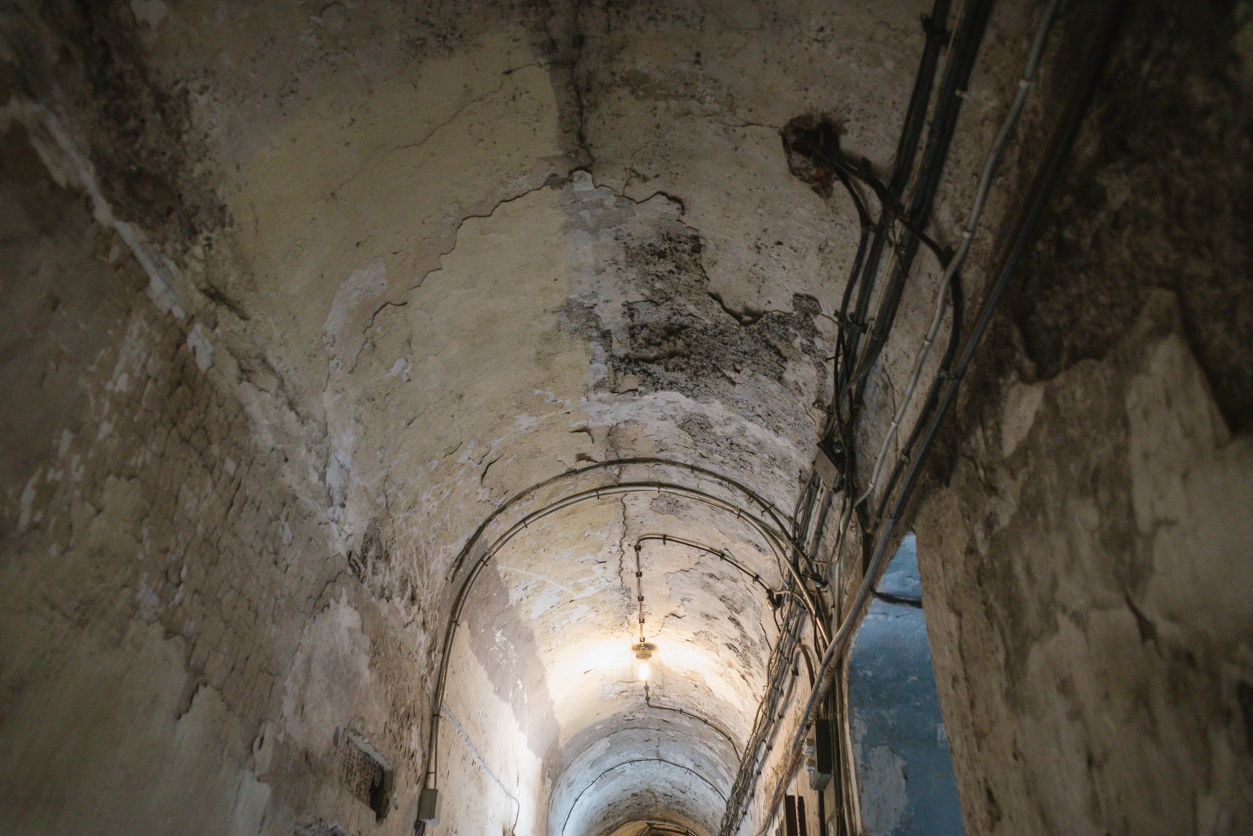 DSC_7656.jpg