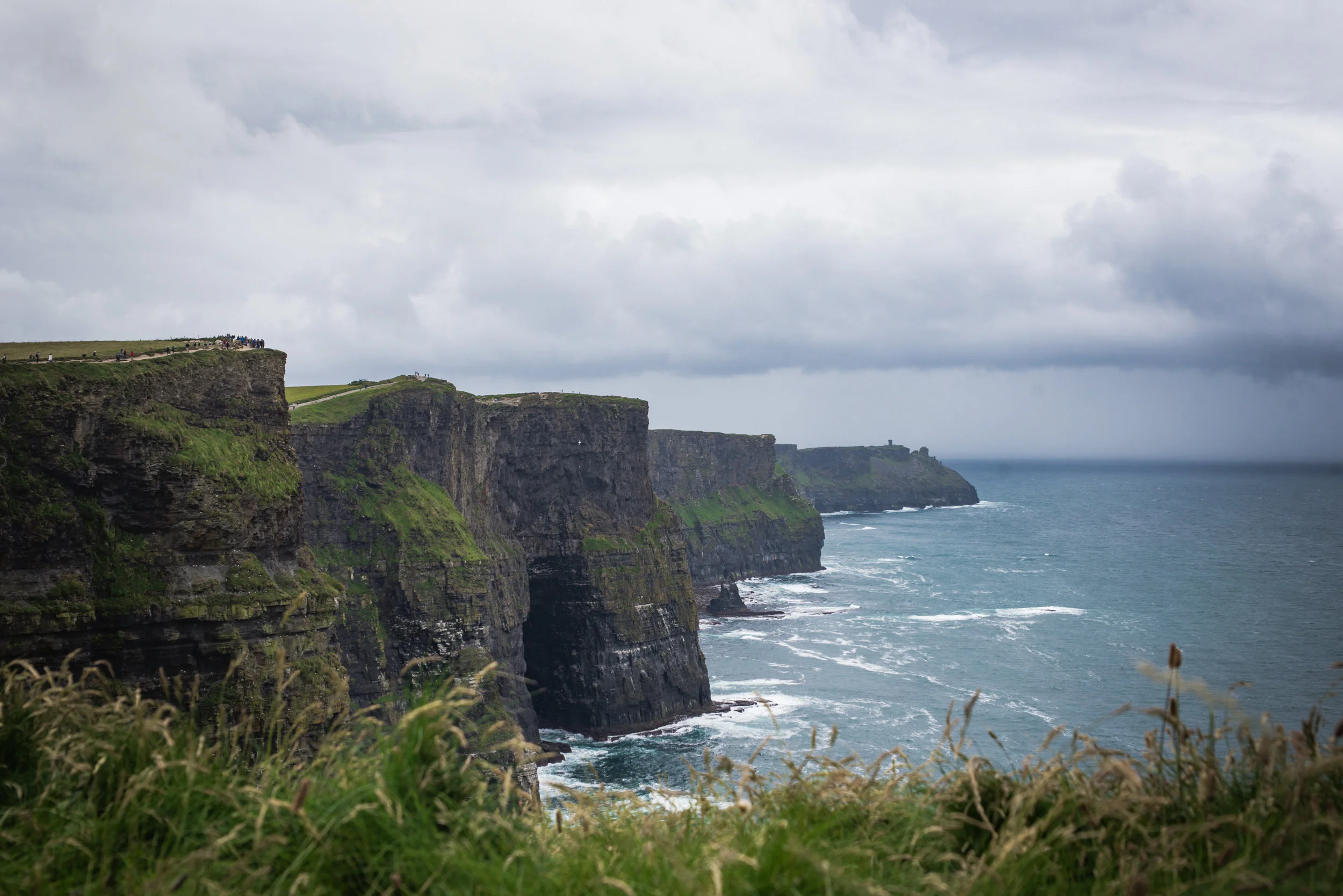 DSC_7817.jpg