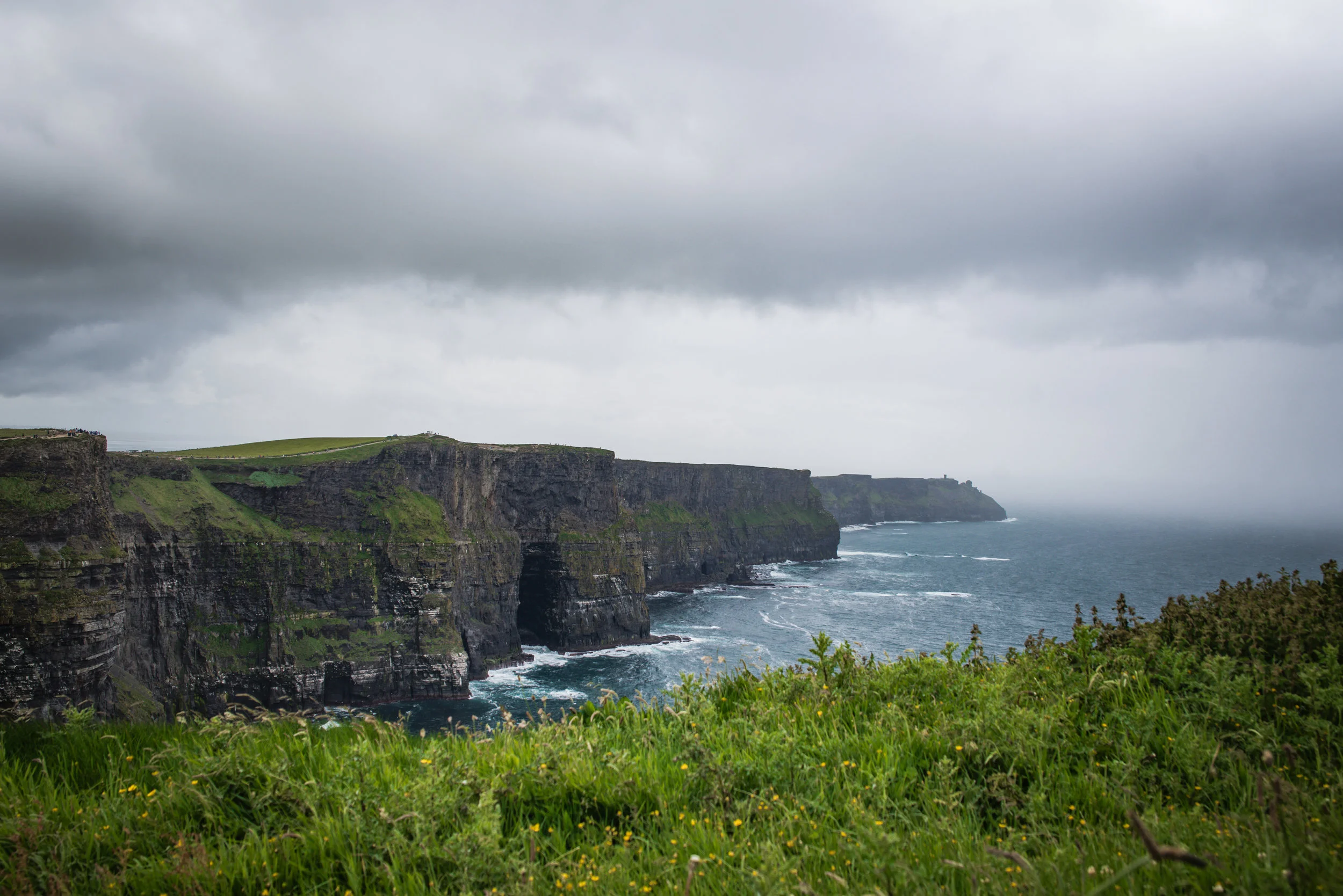 DSC_7853.jpg