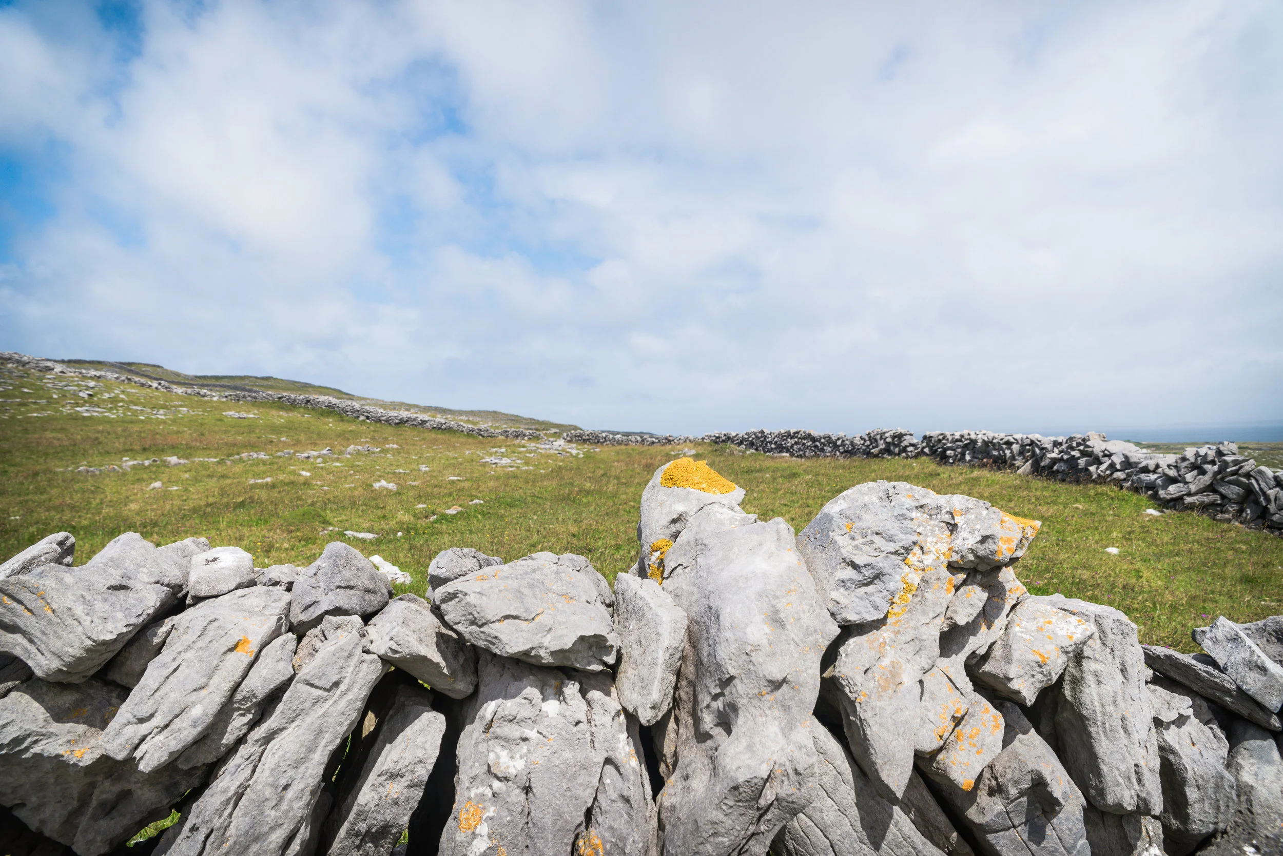 DSC_8450-1.jpg