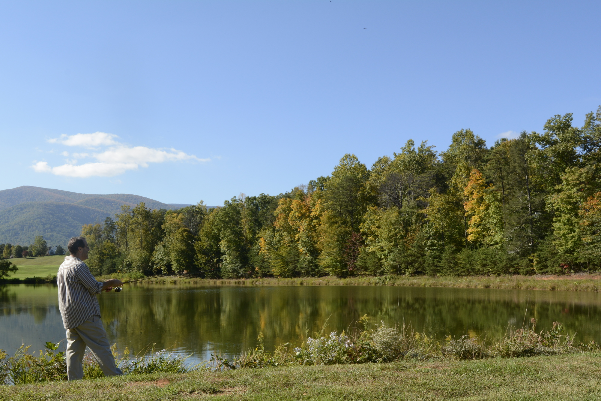 There is a stocked, private trout steam and a dozen lakes and ponds (including a trout pond ) reserved for Wintergreen property owners and their guests. Wintergreen Sporting Club members visit and report on area fishing opportunities, such as nearby Sherando Lake and trout streams. Details here .