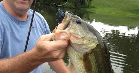Fishing in and around Wintergreen