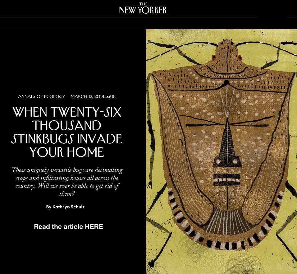 Kathryn Schulz's journalism won the Pulitzer Prize for Feature Writing in 2016. She turns her talent loose on the stinkbug in this feature in The New Yorker. 
