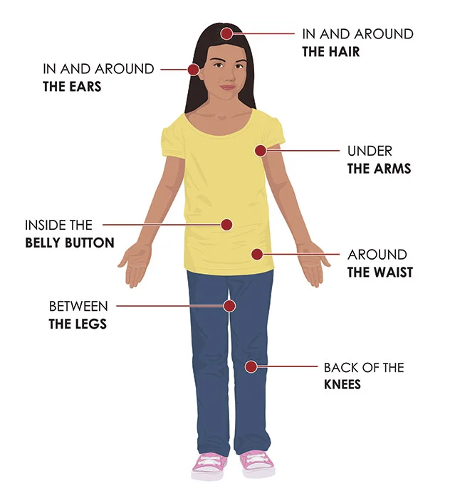 Check your body for ticks after being outdoors. Conduct a full body check upon return from potentially tick-infested areas, including your own backyard. Use a hand-held or full-length mirror to view all parts of your body.– Center for Disease Control
