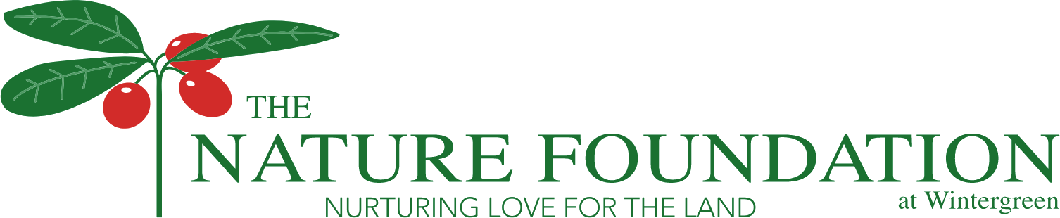 The Nature Foundation at Wintergreen offers guided hikes on most Saturday mornings. The two-hour or so hikes (usually on trails rated moderate) focus on the nature of Wintergreen's surrounding wilderness such as tree and wildflower identification, geology, and wildlife. The hikes are free for foundation members (free for kids with family memberships) and open to the public at a small fee. Dogs should not be brought on the guided hikes. Typically the Saturday hikes meet at 10 am at the Nature Foundation’s Trillium House on Wintergreen mountain. Get details and register on the Nature Foundation's website here.